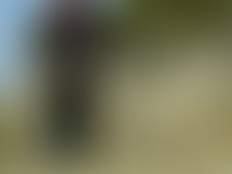 Καθαρισμός οικοπέδων καθ’ όλη τη διάρκεια της αντιπυρικής περιόδου