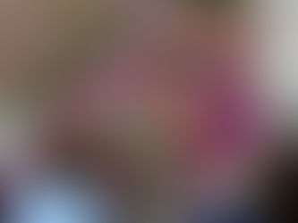 Νάουσα. Ξεκίνησε η ανθοκομική έκθεση στο πάρκο