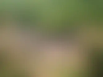 Δήμος Νάουσας: Η αλήθεια για την οριοθέτηση ζώνης Α του αρχαιολογικού χώρου