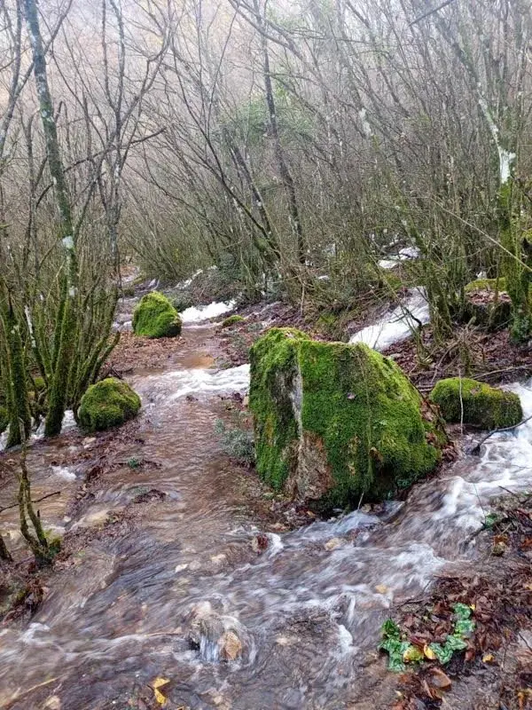 ‘Πνίγηκαν’ από νερό τα μονοπάτια του Βερμίου!