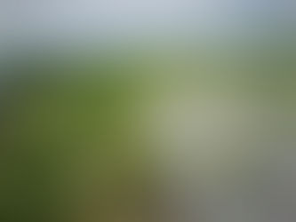 Την άμεση αποστολή κλιμακίου ΕΛΓΑ στην περιοχή του Δήμου Αλεξάνδρειας