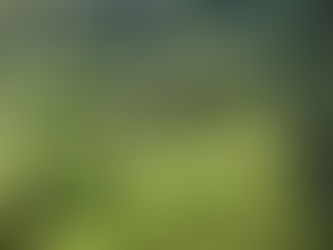 Στο δίκτυο αυθεντικών χωριών και το Σέλι!