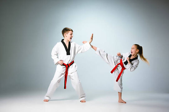 Taekwondo Boxing Kickboxing Vilvoorde.jpg