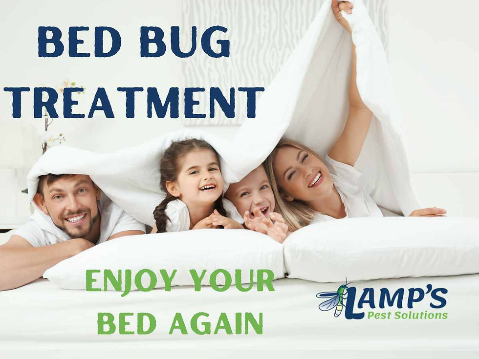 A joyful family of four comfortably lies on a bed, their smiling faces playfully peeking out from beneath the covers. The image is captioned with "Bed Bug Treatment - Enjoy Your Bed Again." In the bottom right corner, the logo for Lamp's Pest Solutions proudly appears.