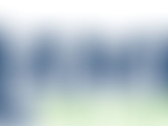 Lamp's Pest Solutions Lexington SC