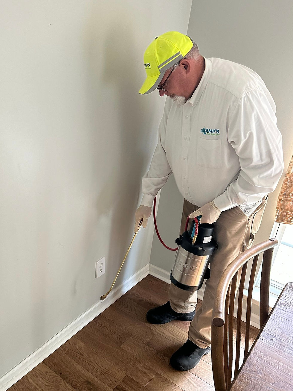 Lamp's Pest Solutions in Lexington SC performs an ant treatment in a Lexington SC home