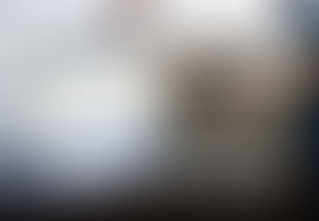 Professional Bed Bug Exterminator In Lexington, South Carolina