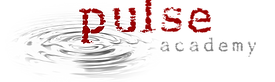 Pulse Academy