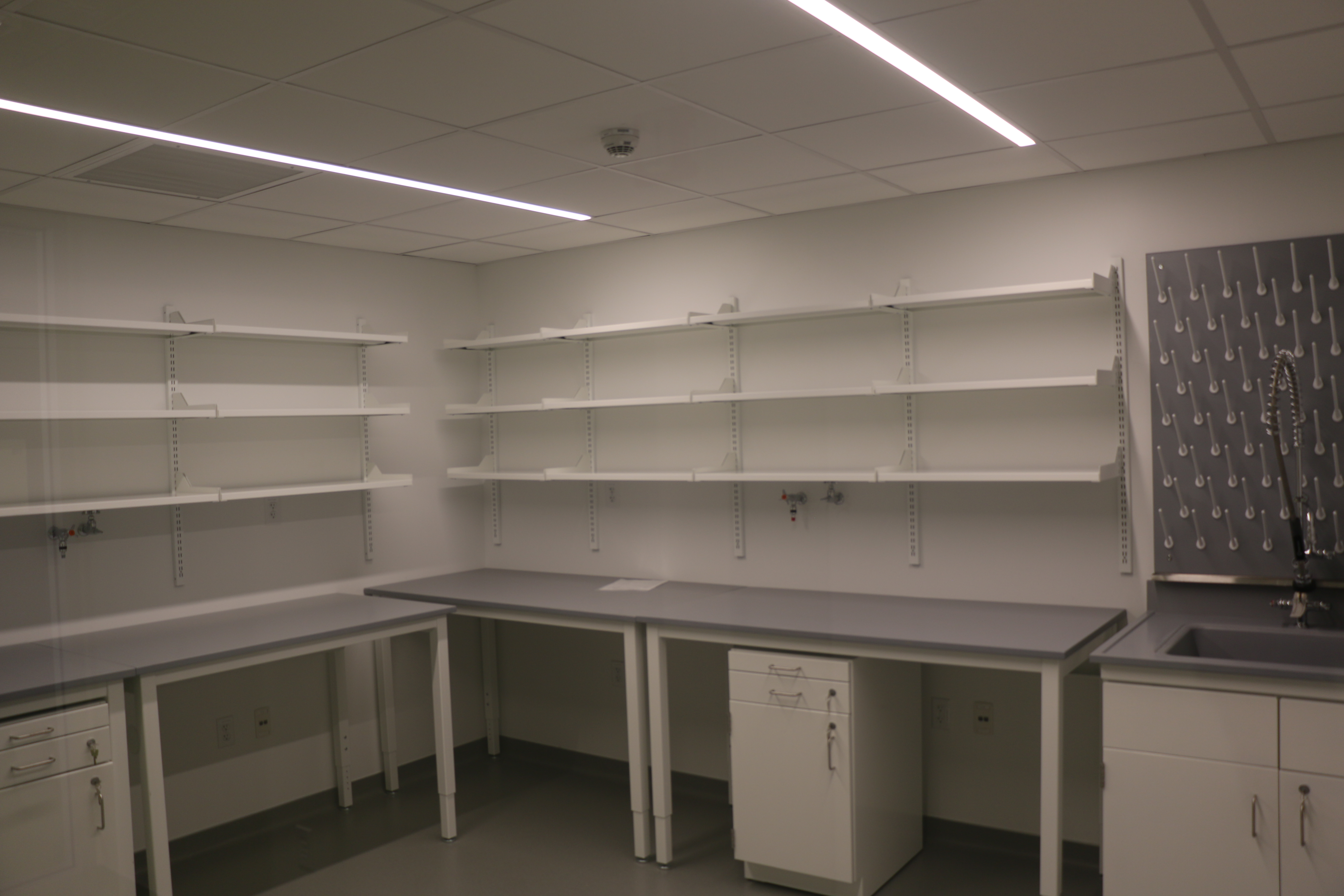 Kovler Viral Oncology Lab