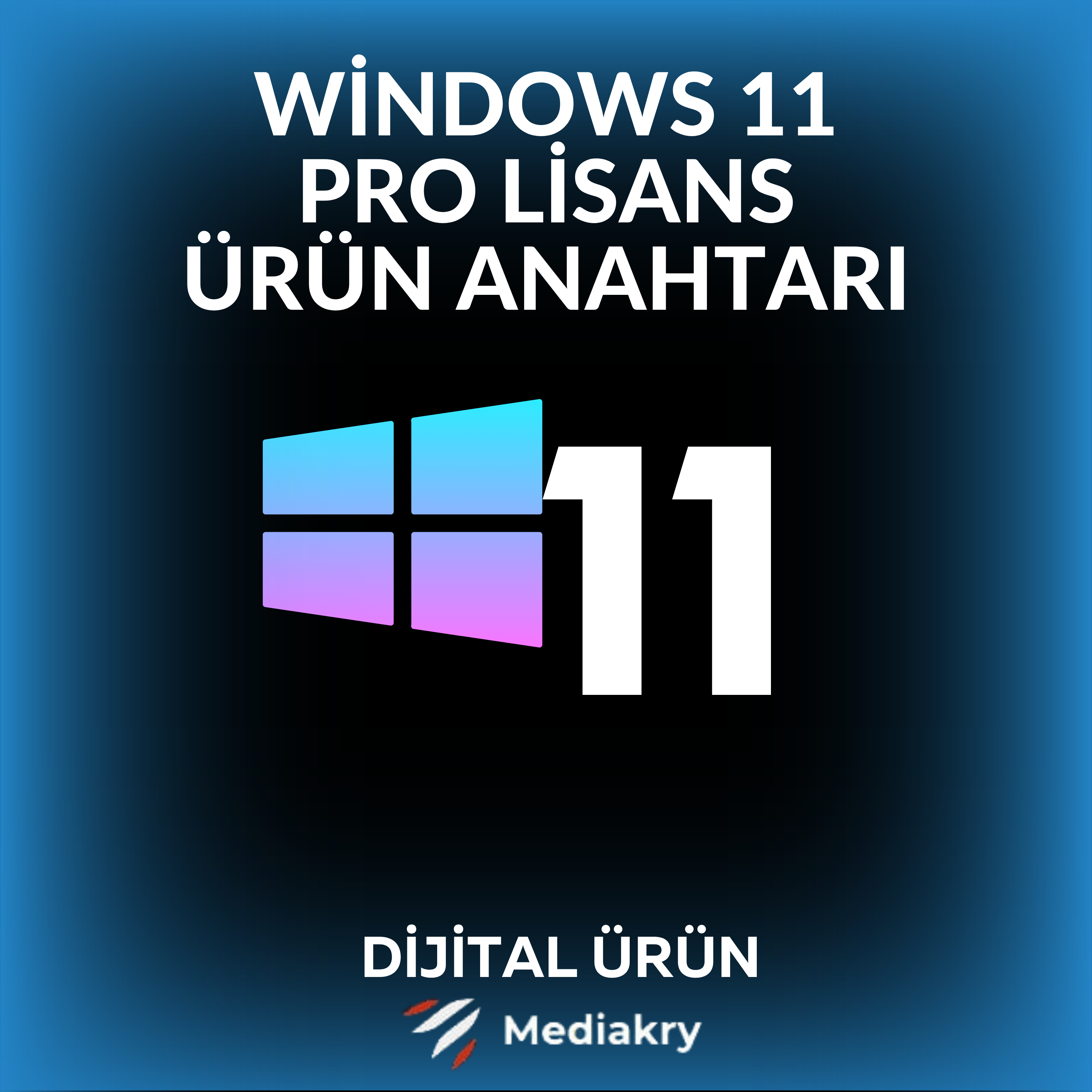 Windows 11 Pro Lisans Ürün Anahtarı