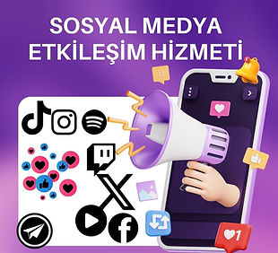 Social Media Marketing Agency (1).jpg