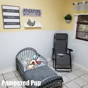 Pampered Pup Suite.jpg