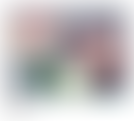 3 Zinnias (1921) by Georgia O’Keeffe, featuring three large, softly blended zinnia flowers in pink, purple, and white tones against a muted gray background.