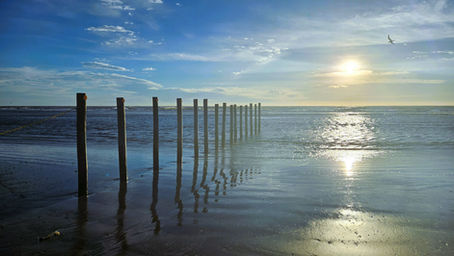 Sunrise over the Gulf of America with wooden posts stretching toward the horizon, reflecting on calm water along Padre Island by Melissa Mitchell.