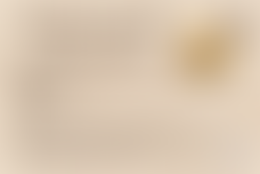 image of Melissa's Chocolate Chip Cookie Recipe Card