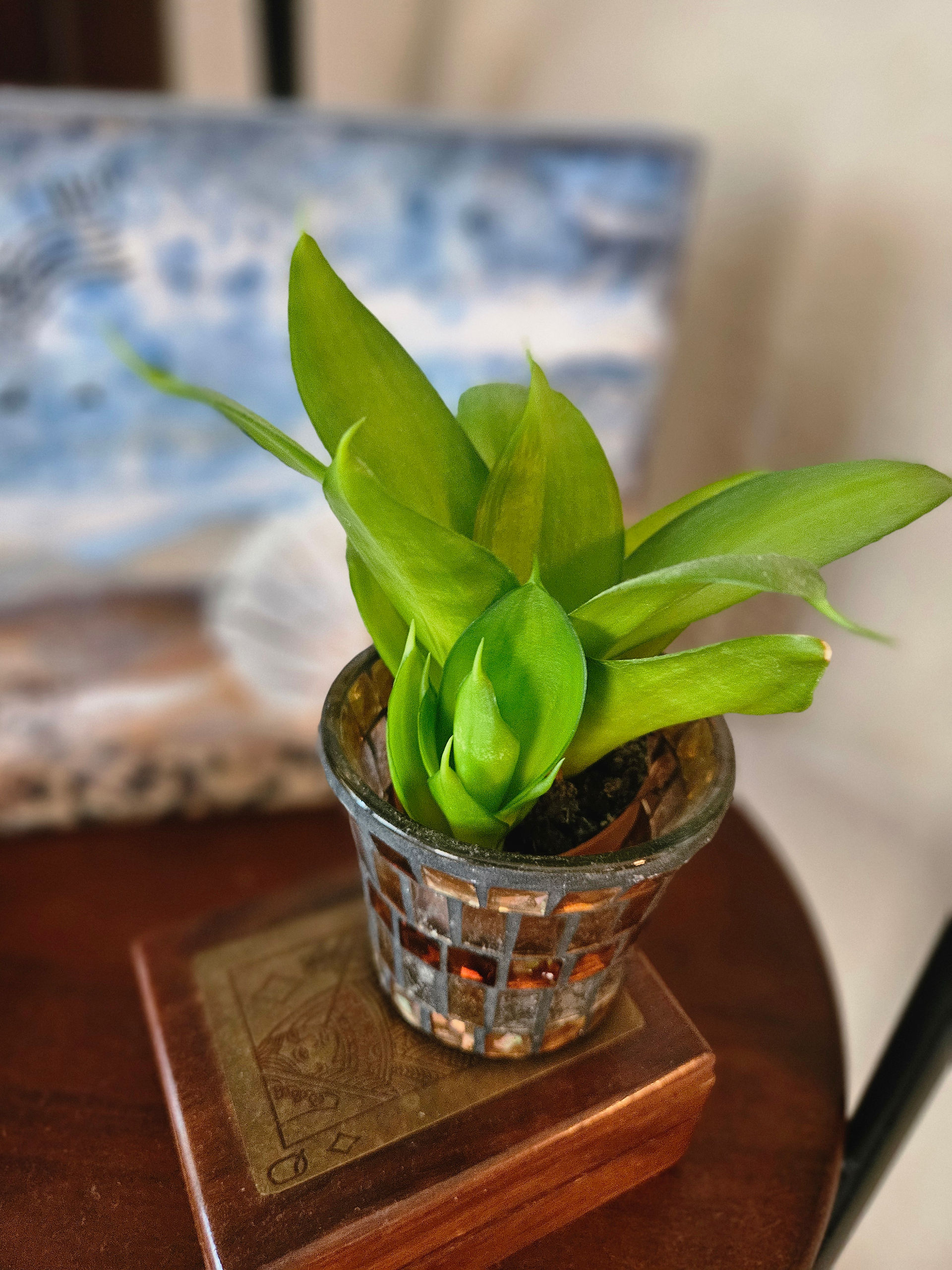 Green houseplant in mosaic glass pot on side table adding natural texture to coastal home interior styled by Melissa Mitchell Art & Design