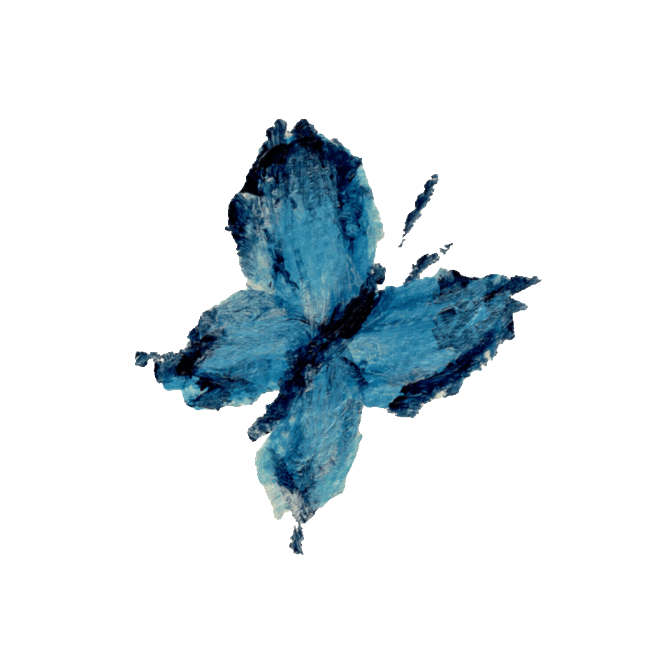 Animated Butterfly.gif
