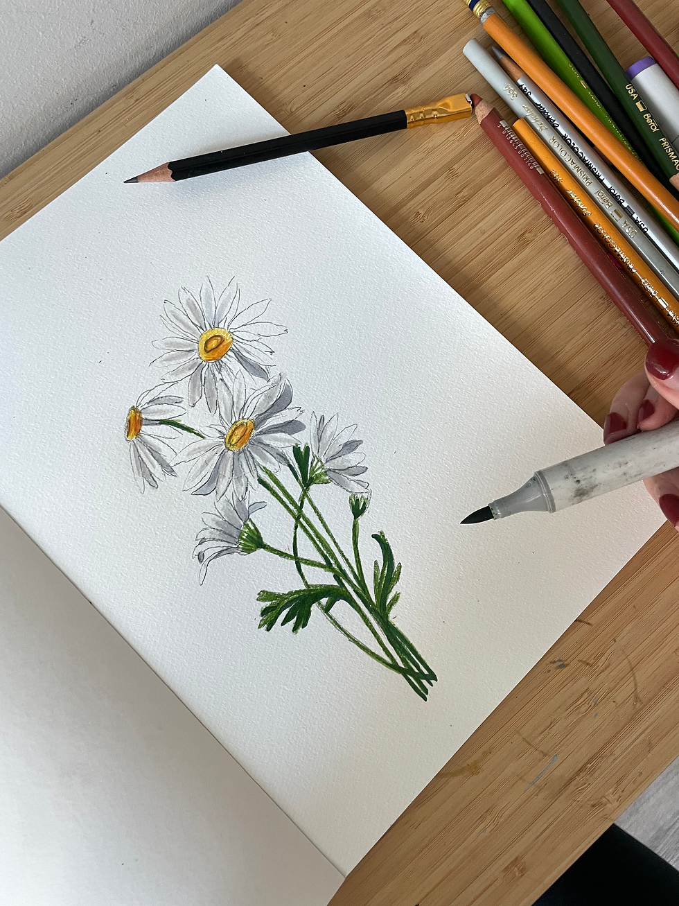 Thumbnail: 'Daisies' Original Artwork Handsigned