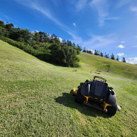 Work Project at Nan Tien Temple in Wollongong 4