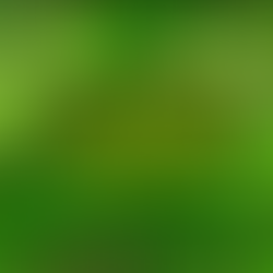 A cute sign about toads covered in green moss in the forest at Heartland Forest in Niagara Falls Canada