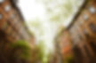 iStock-1150729347.jpg