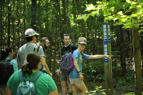 Six people walking in the woods