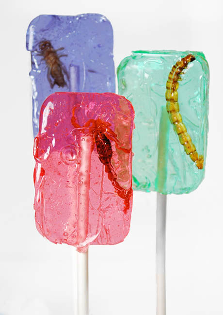 bugslides6.jpg