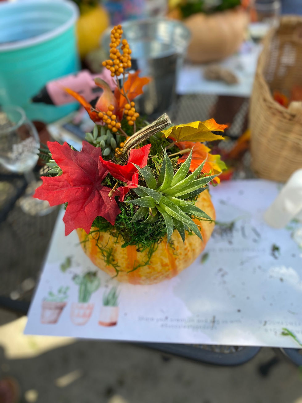 Close-up view of a vibrant succulent arrangement in a decorative pot