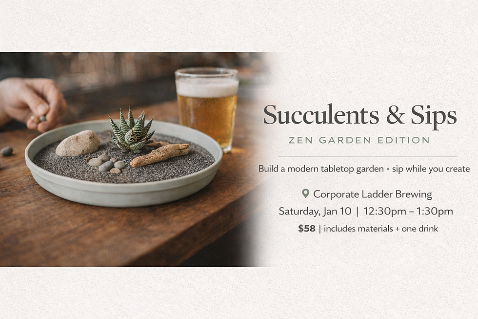 Succulents & Sips: Plant Your Intentions