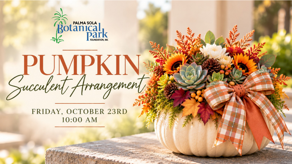 Pumpkin Succulent Workshop