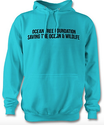 Screen Shot 2020-10-02 at 23.51.38.png