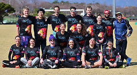Rebel Lions Ultimate Frisbee Club Team