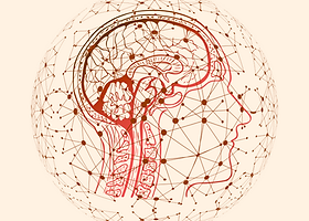 Illustration of the brain and nervous system for trauma therapy