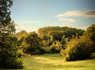 IMG-20240923-WA0001 copie.jpg