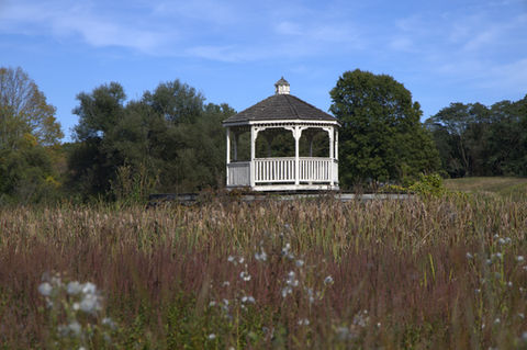 Wayland MA