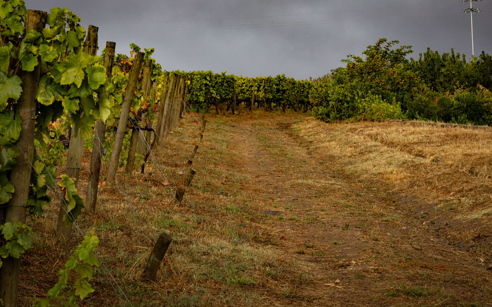 Hiking the Douro River Valley, Portugal
