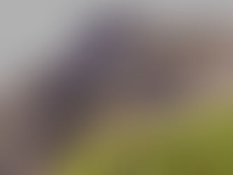 Making a picture a photograph