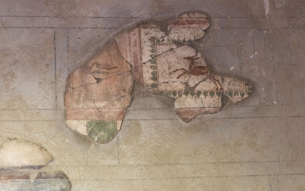 Vesuvius, Herculaneum, Italy