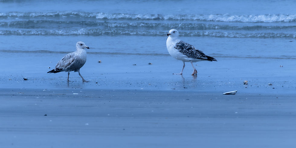 Photo Series - Love at First Sight