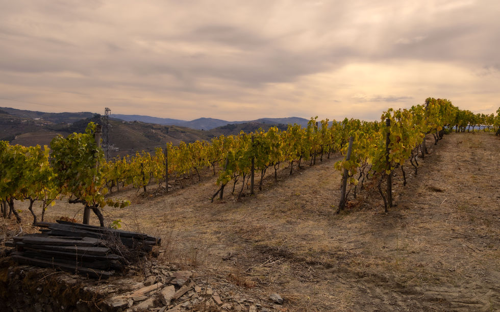 Hiking the Douro River Valley