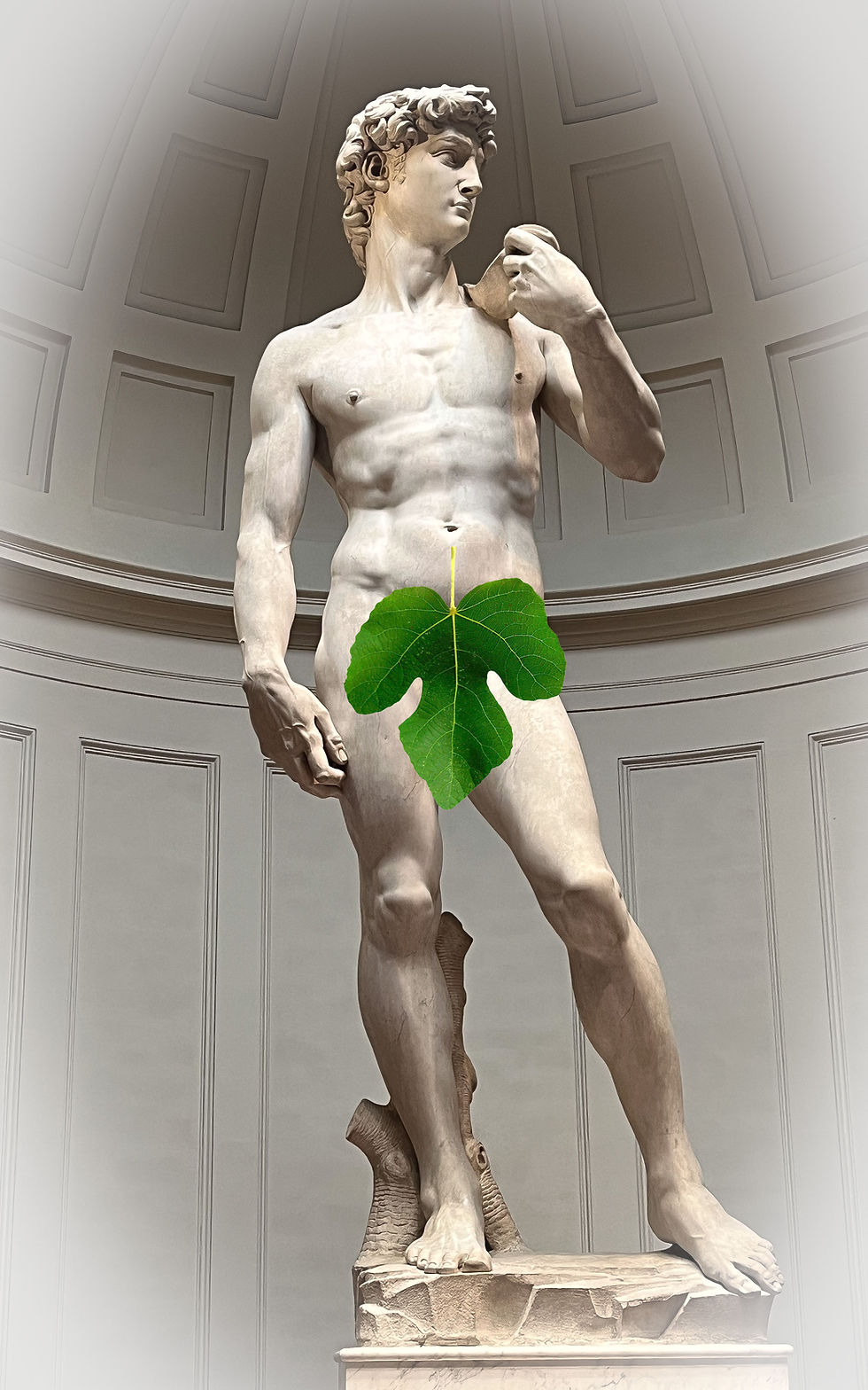 Exploring the History of Michelangelo's David