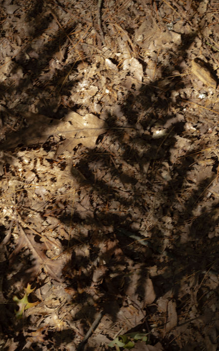 Harold Parker photography