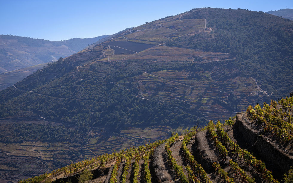 Hiking the Douro River Valley