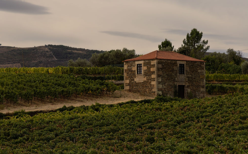 Hiking the Douro River Valley