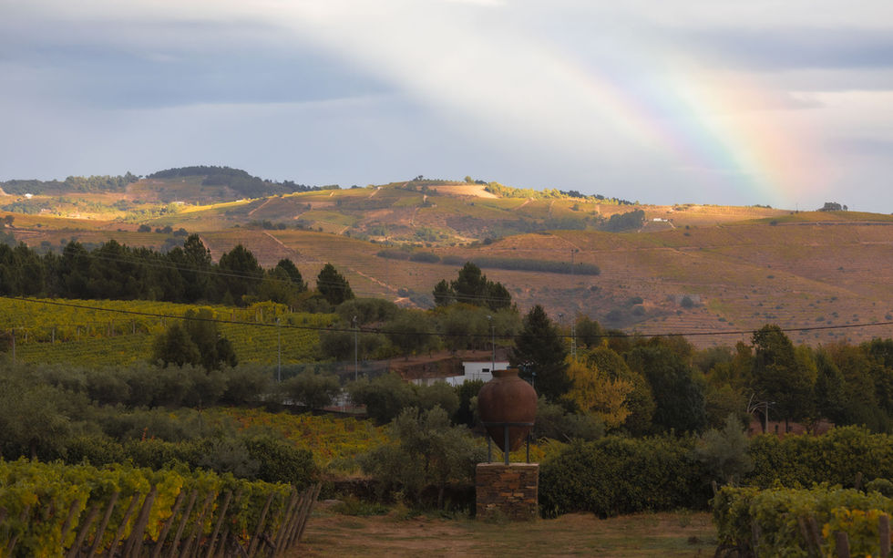 Unexpected rainbow in the distance
