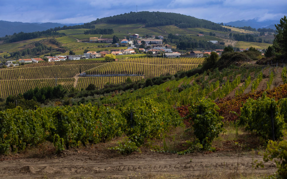 Hiking the Douro River Valley