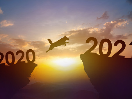 Jahresrückblick 2020