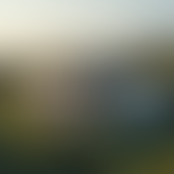 Instalación de Techos: Mejore su Hogar con MAR