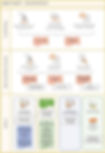 Project Discovery Process_edited.jpg