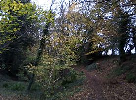 Watts Dyke the bank and ditch on right.j